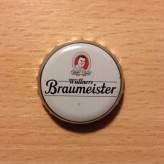 WÃ¼llners Braumeister